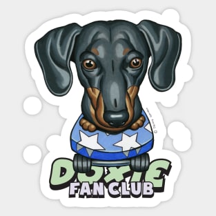 Cute Black and Tan Doxie skateboarding  on Star Skateboard Sticker